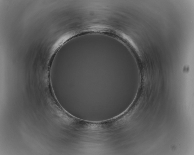 X0000091081362200708061328