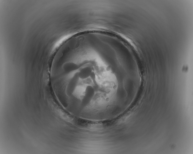 X0000091081363200708061328
