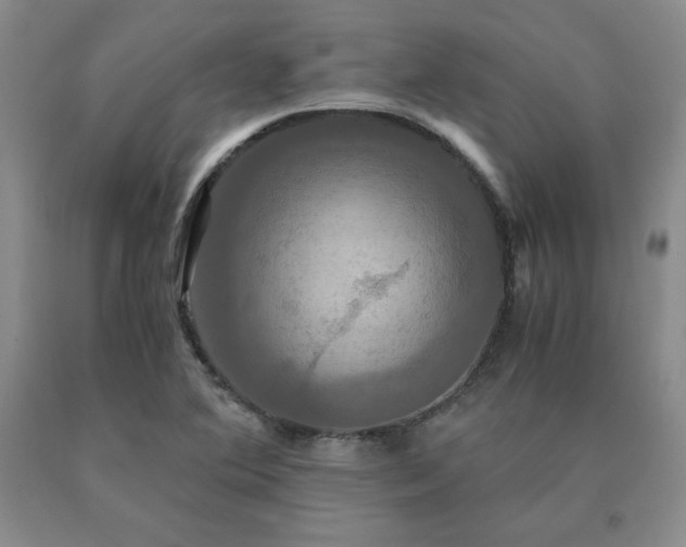X0000091081364200708061328