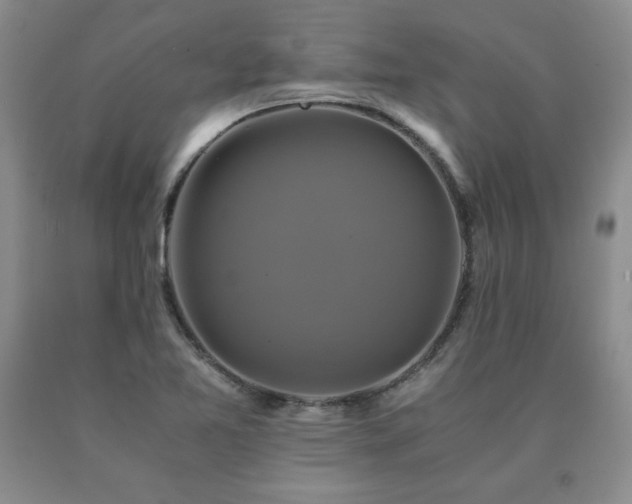 X0000091081365200708061328