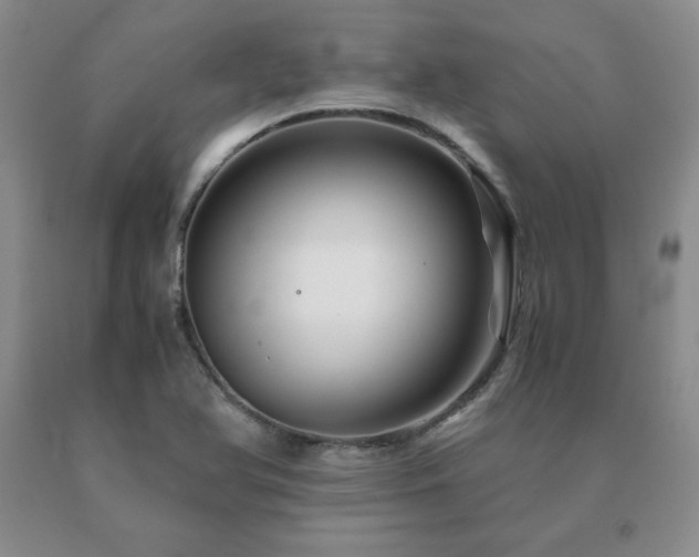 X0000091081366200708061328