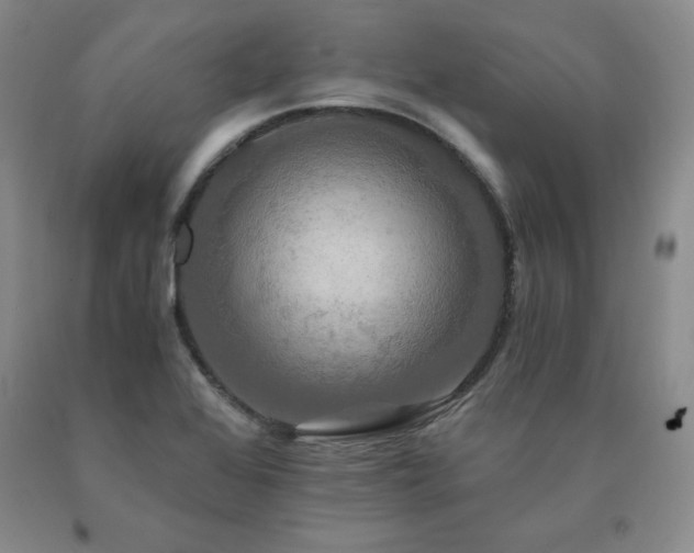 X0000091081368200708061328