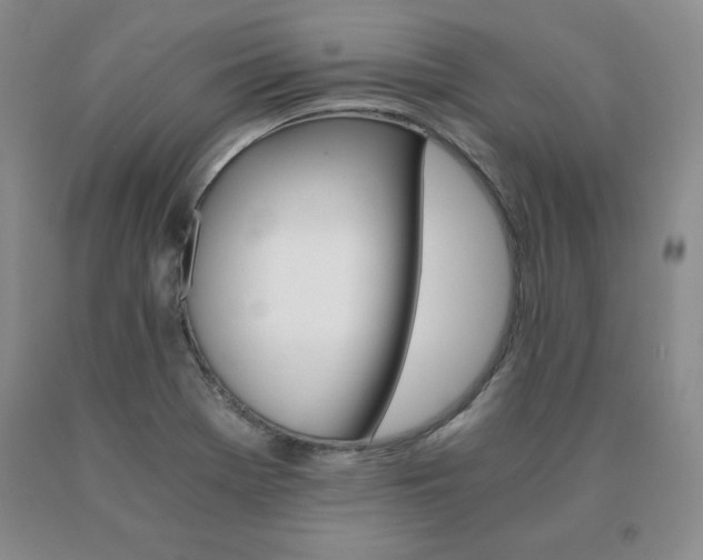 X0000091081369200708061328