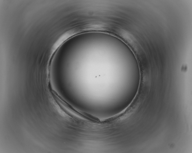 X0000091081370200708061328