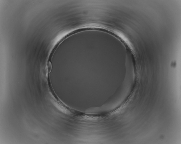 X0000091081372200708061328