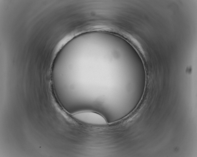 X0000091081373200708061328