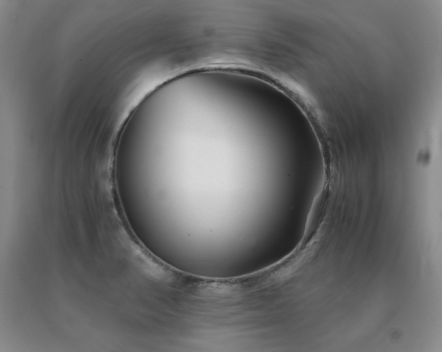 X0000091081374200708061328
