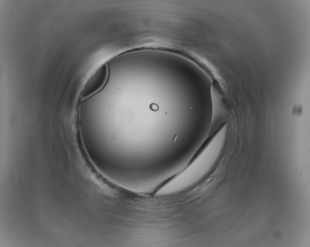 X0000091081375200708061328