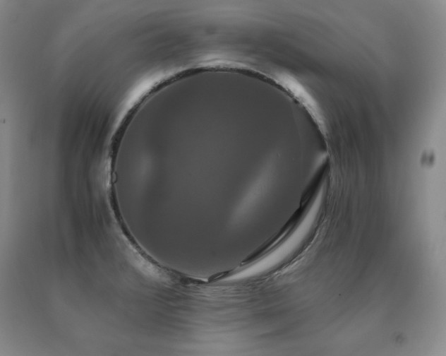 X0000091081376200708061328