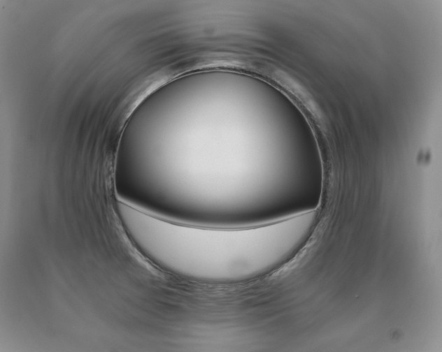 X0000091081377200708061328