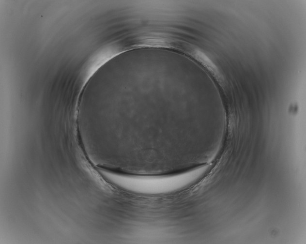 X0000091081378200708061328
