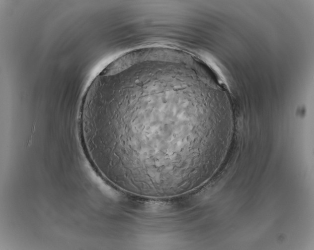 X0000091081379200708061328