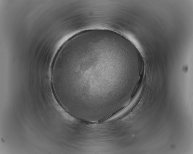 X0000091081380200708061328