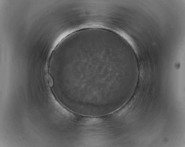 X0000091081382200708061328
