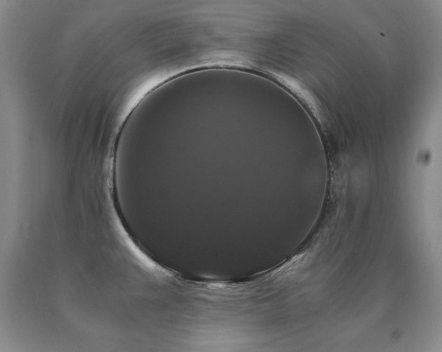 X0000091081383200708061328