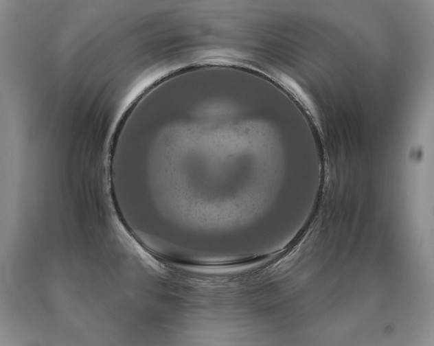 X0000091081384200708061328