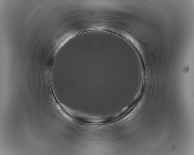 X0000091081385200708061328