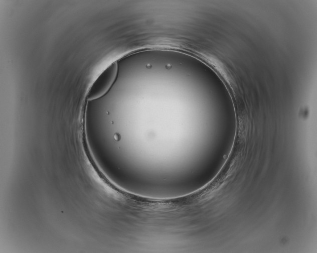 X0000091081387200708061328