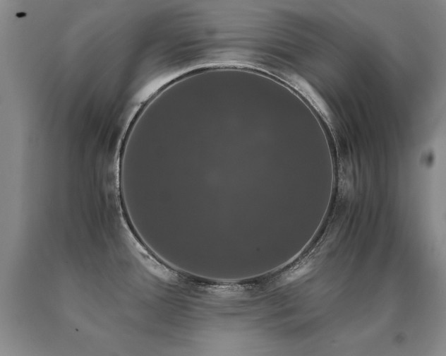 X0000091081388200708061328