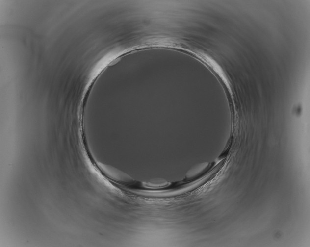 X0000091081389200708061328