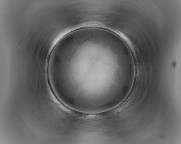 X0000091081390200708061328