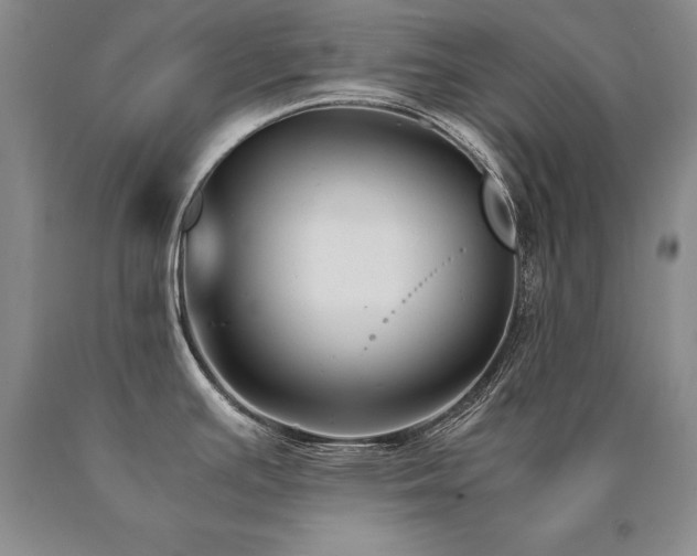 X0000091081391200708061328
