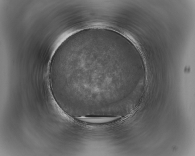 X0000091081392200708061328