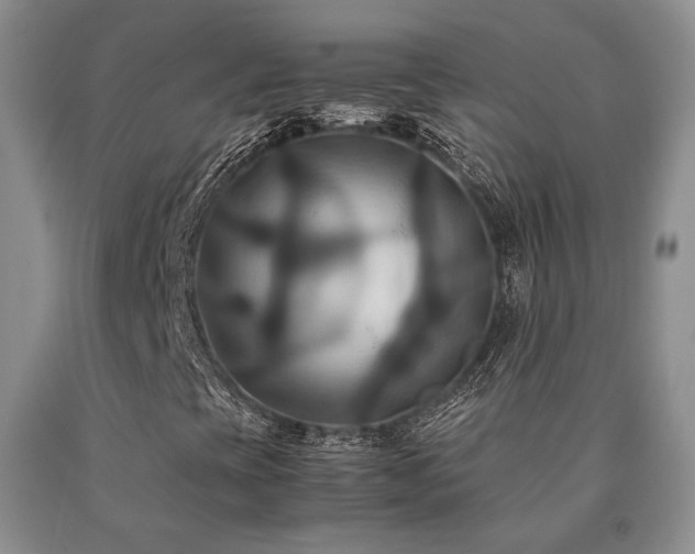 X0000091081393200708061327