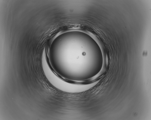 X0000091081394200708061327