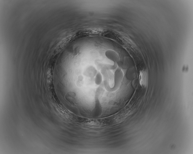 X0000091081395200708061327