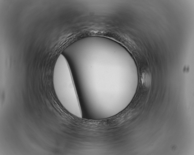 X0000091081396200708061327