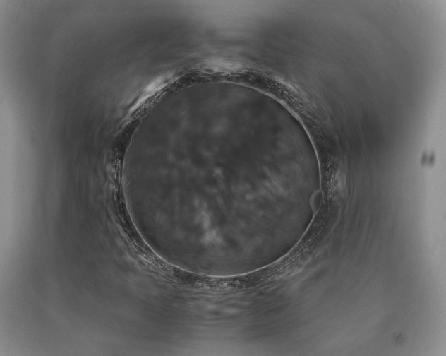 X0000091081397200708061327
