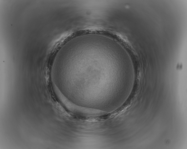 X0000091081398200708061327