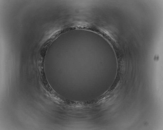 X0000091081399200708061327