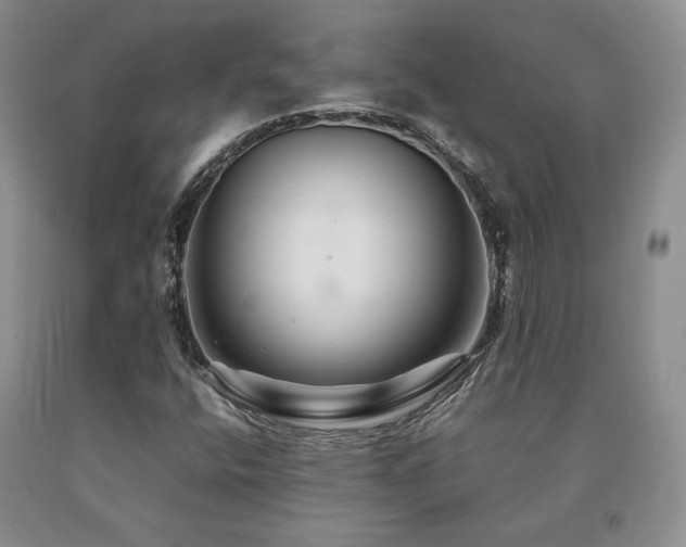 X0000091081400200708061327