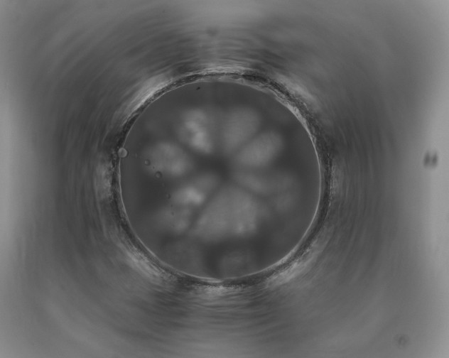 X0000091081401200708061327