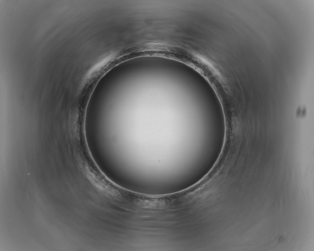 X0000091081403200708061327
