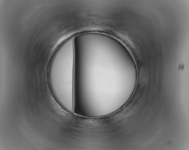 X0000091081404200708061327