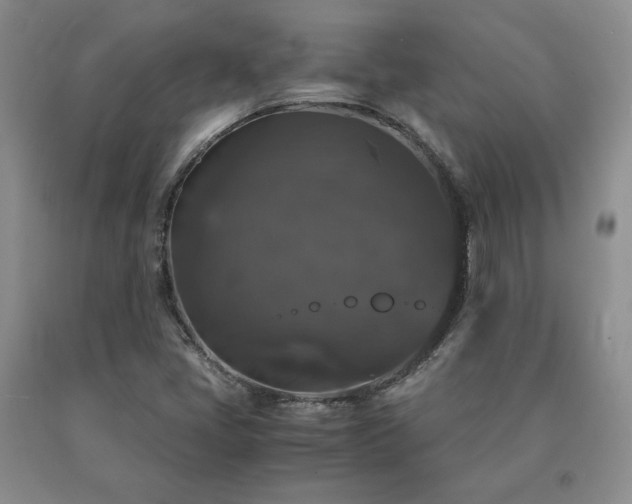 X0000091081405200708061327
