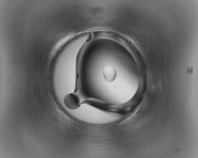 X0000091081406200708061327
