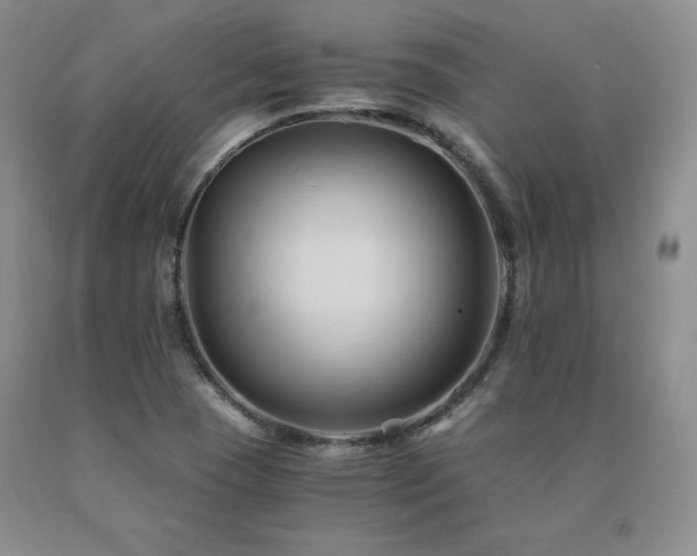 X0000091081409200708061327