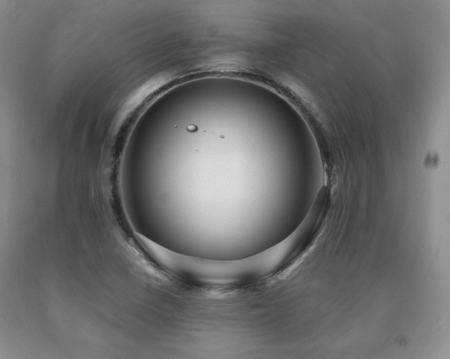 X0000091081410200708061327