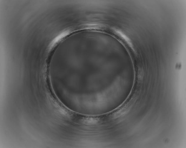 X0000091081411200708061327