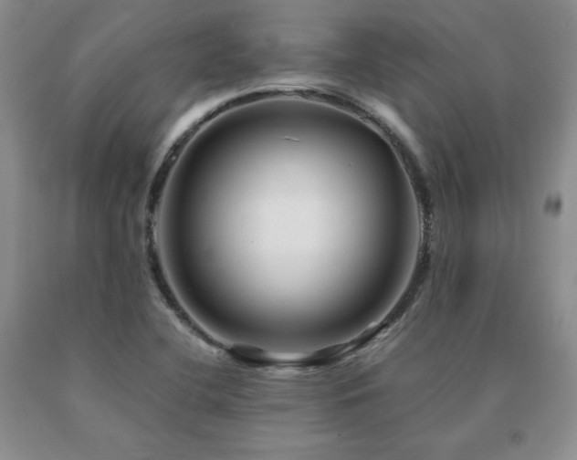 X0000091081412200708061327