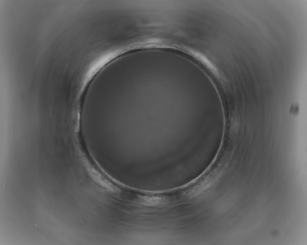 X0000091081413200708061327
