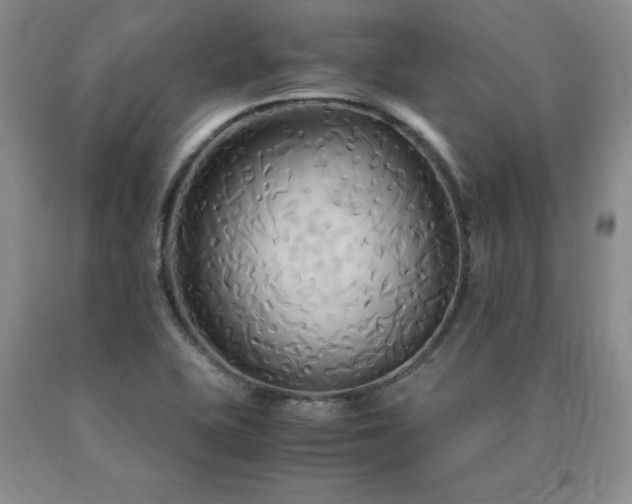 X0000091081415200708061327