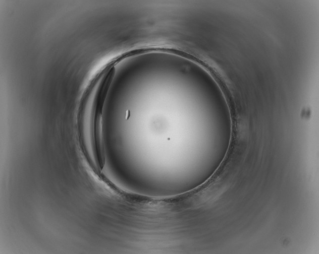 X0000091081416200708061327