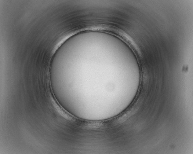 X0000091081417200708061327