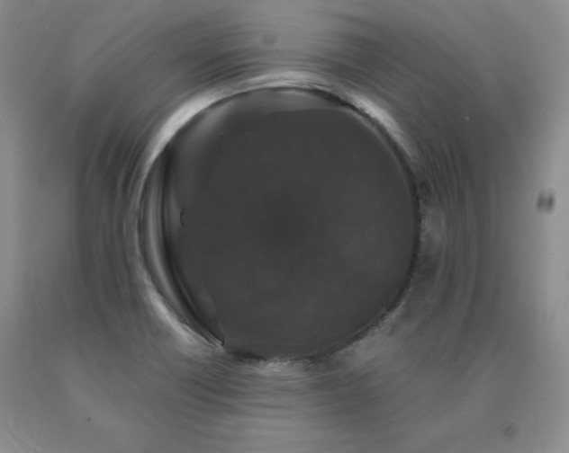 X0000091081418200708061327
