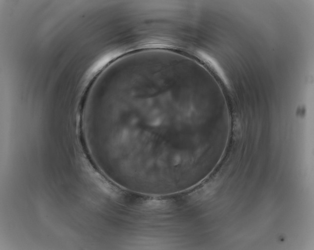 X0000091081419200708061327